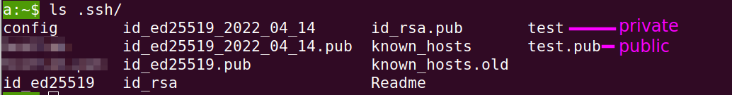 Публичный и приватные ssh-ключи